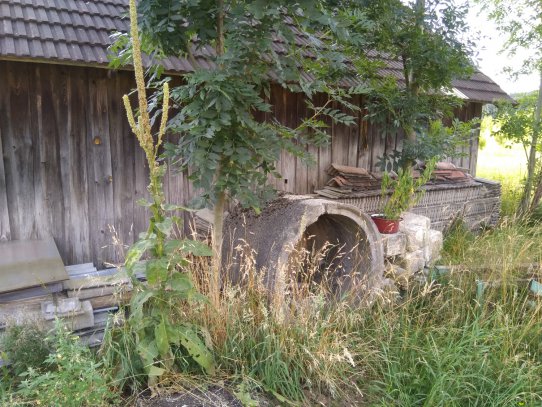 Bei uns am Bauernhof gibt's immer wilde Ecken, weil wo was herum steht. Früher habe ich mir immer gedacht, das muss ich aufräumen und habe mir einen Stress gemacht. Aber jetzt weiß ich, dass das für die instekten ganz wichtig ist und lass es einfach und freu mich.