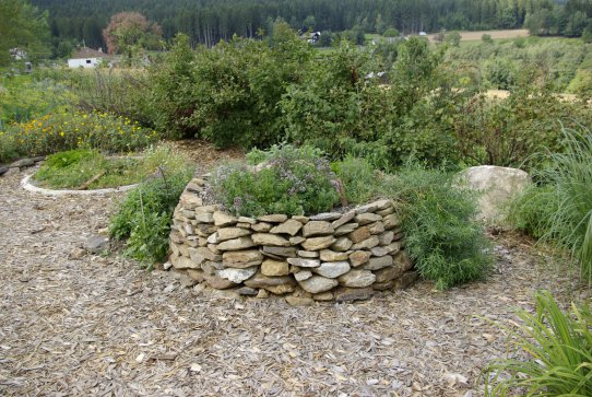 In meiner Kräuterspirale gibt es auch ganz viel Platz für Insekten - und für Spinnen. Vor allem habe ich viele Laufkäfer zwichen den Steinen und die fressen mir gleich die Schneckeneier weg. 