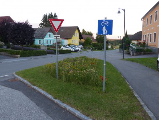 Es blüht bei uns in Großschönau jetzt überall, wo Platz ist.