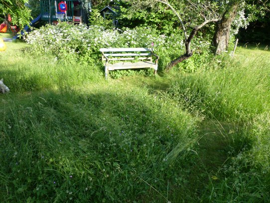Hier sitze ich gerne in meinem Garten, rund um mich blüht und summt es. 